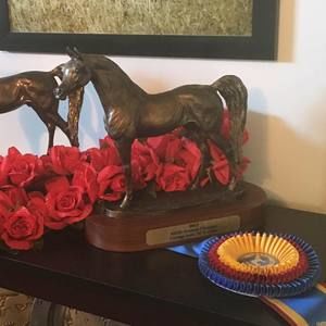 Meet your Posher, Pam